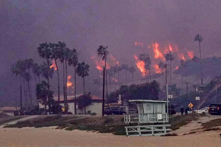 Wildfire in California with flames near palm trees and buildings by the beach.